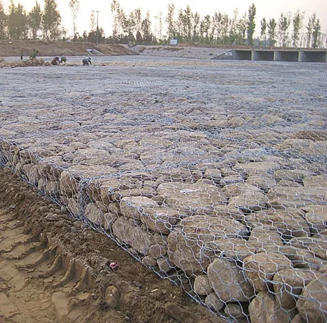 The Design and Sustainability of Gabion Wire Mesh Panels