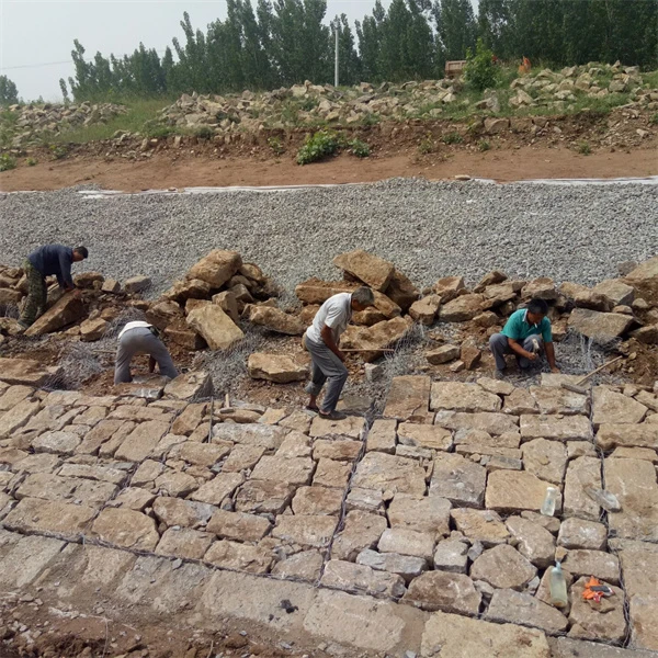 Gabion Wire Mesh: The Reinforced Solution for Modern Construction and Landscape Design